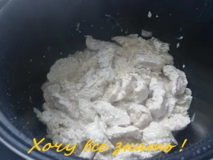 Бефстроганов з курячим м'ясом в мультиварці (куряче філе) Бефстроганов з курячим м'ясом в мультиварці
