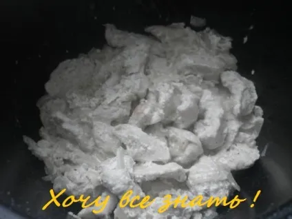 Бефстроганов з курячим м'ясом в мультиварці (курка) Бефстроганов з курячим м'ясом в мультиварці