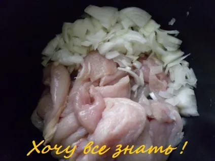 Бефстроганов з курячим м'ясом в мультиварці (страви з птиці) Бефстроганов з курячим м'ясом в мультиварці
