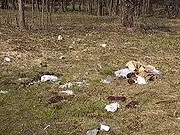 Побутові відходи - це