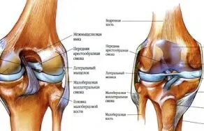 хвороби суглобів