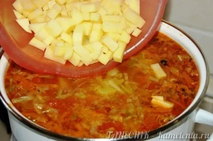Борщ без буряка рецепт з фото, як приготувати річний борщ без буряка з помідорами (рецепт) Борщ без буряка рецепт з фото, як приготувати річний борщ без буряка з помідорами