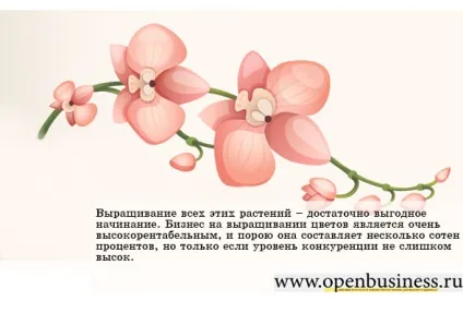 Бізнес ідея №5669