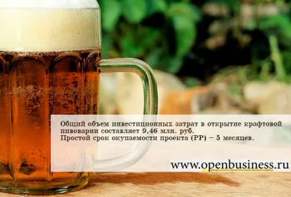 Бізнес ідея №5669