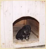 Будка для собак