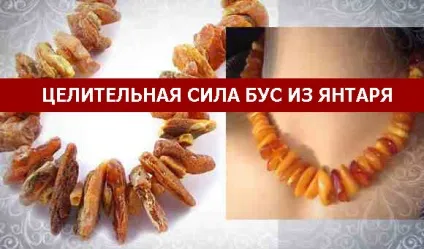 Цілюща сила бус з бурштину (янтарю) Цілюща сила бус з бурштину