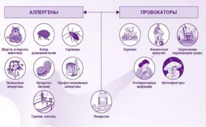 Бронхіальна астма атопічна форма - діагностика у дорослих і дітей, форми, ступеня тяжкості, (бронхіальна) Бронхіальна астма атопічна форма - діагностика у дорослих і дітей, форми, ступеня тяжкості,