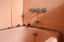 Чим обробити стіни від грибка і цвілі у ванній перед укладанням плитки (стіни) Чим обробити стіни від грибка і цвілі у ванній перед укладанням плитки