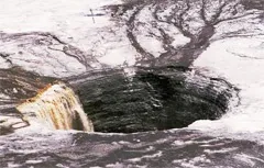 Чим відрізняється арктика від Антарктики (Антарктики) Чим відрізняється арктика від Антарктики