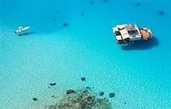 Чим відрізняється арктика від Антарктики (Антарктики) Чим відрізняється арктика від Антарктики