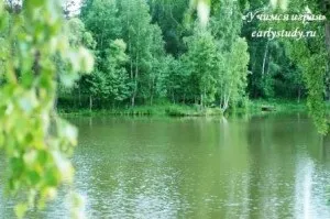 Чим зайнятися з дитиною на природі, вчимося граючись (природі) Чим зайнятися з дитиною на природі, вчимося граючись