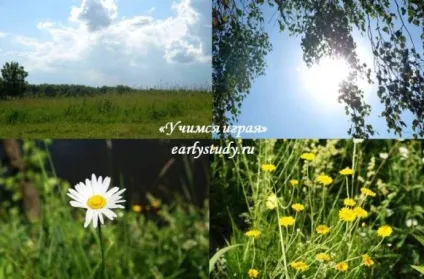 Чим зайнятися з дитиною на природі, вчимося граючись (природі) Чим зайнятися з дитиною на природі, вчимося граючись