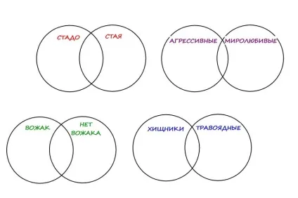 Чим відрізняється стадо від зграї клуб чомучок (стадо) Чим відрізняється стадо від зграї клуб чомучок
