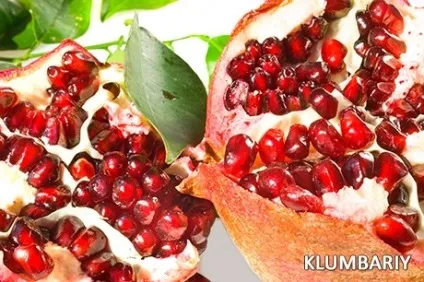 Чим корисний гранат і його кісточки (корисні кісточки граната) Чим корисний гранат і його кісточки