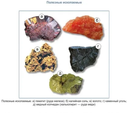 Людина і світ каменю (каменю) Людина і світ каменю