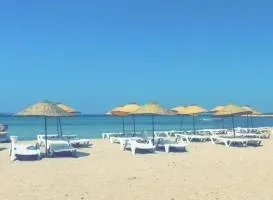 Руїни храму Аполлона в Дідім - розташування на карті, відгуки, опис, фото