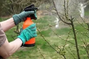 Садові обприскувачі - види, пристрій і критерії вибору
