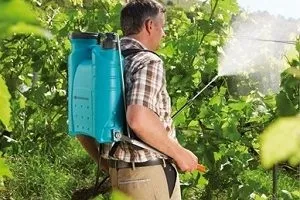 Садові обприскувачі - види, пристрій і критерії вибору