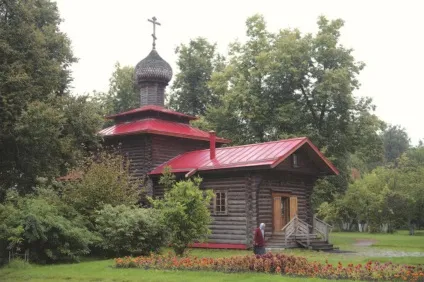 Російська голгофа, історик