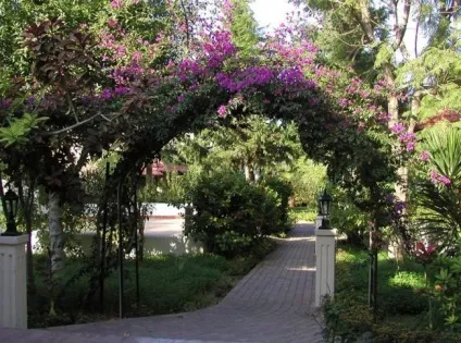 Сад в середземноморському стилі як облаштувати, дизайн, особливості, фото, відео (стилі) Сад в середземноморському стилі як облаштувати, дизайн, особливості, фото, відео
