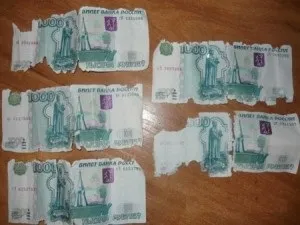 Що робити якщо випрали телефон, паспорт або гроші в пральній машині (паспорт) Що робити якщо випрали телефон, паспорт або гроші в пральній машині