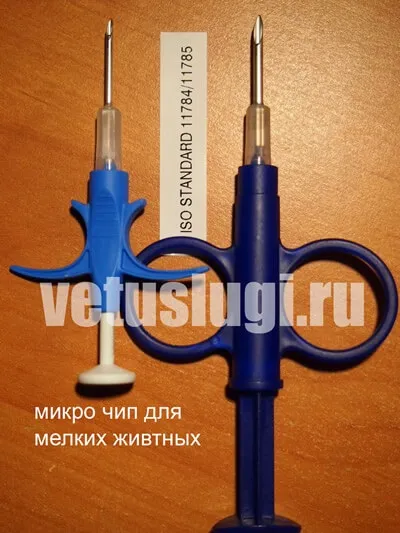 Чіпування собак кішок