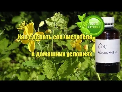 Чистотіл від бородавок як користуватися і видалити (чистотіл) Чистотіл від бородавок як користуватися і видалити