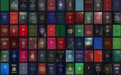 Що означає колір вашого паспорта (вашого) Що означає колір вашого паспорта