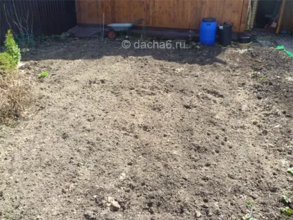 Що посадити в тіні на дачі (сміливо можна садити) Що посадити в тіні на дачі
