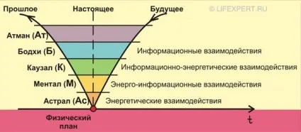 Що таке чакри людини