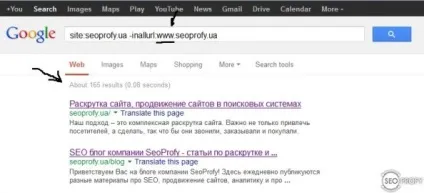 Що таке соплі google або supplemental results (supplemental) Що таке соплі google або supplemental results