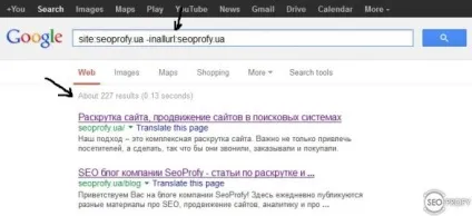 Що таке соплі google або supplemental results (supplemental) Що таке соплі google або supplemental results