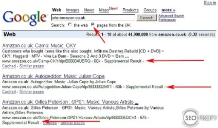 Що таке соплі google або supplemental results (пошукової системи Google) Що таке соплі google або supplemental results