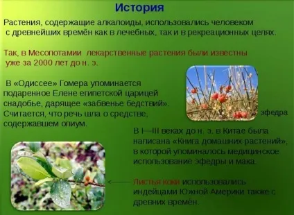 Що таке алкалоїди