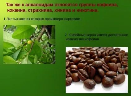 Що таке алкалоїди
