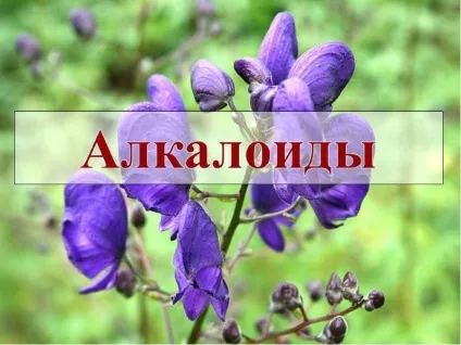 Що таке алкалоїди
