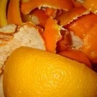 Квіти чорнобривці вирощування і догляд, flowery-blog