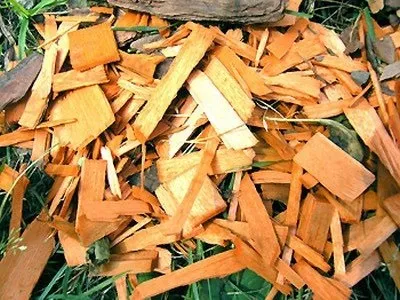 Декоративна тріска для мульчування що таке мульча і навіщо вона потрібна (виготовлення декоративної тріски) Декоративна тріска для мульчування що таке мульча і навіщо вона потрібна