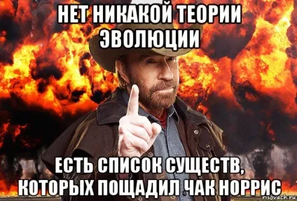 Десять причин, чому Чак Норріс крутіше всіх coцсеті інтернет і засоби масової інформації (інтернет) Десять причин, чому Чак Норріс крутіше всіх coцсеті інтернет і засоби масової інформації