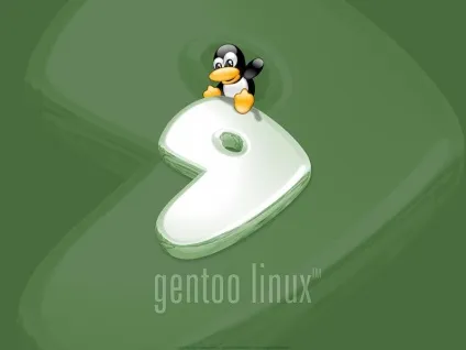 Детальна установка gentoo linux
