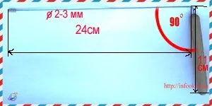Діагностика методом біолокації