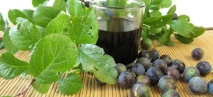Дика слива як називається, опис, корисні властивості і рецепти