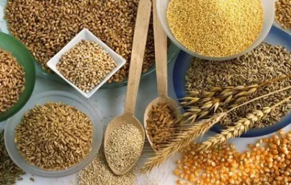 Дієта при артриті суглобів список дозволених і заборонених продуктів (суглобів) Дієта при артриті суглобів список дозволених і заборонених продуктів