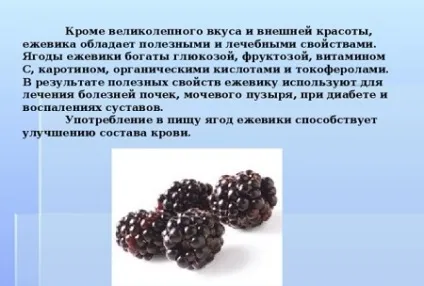 Дієта на морозиві меню, відгуки, результати схуднення