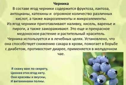 Дієта на морозиві меню, відгуки, результати схуднення