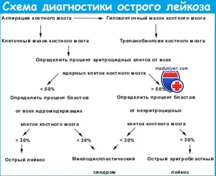 Диференціальна діагностика гострого лейкозу (гострого) Диференціальна діагностика гострого лейкозу