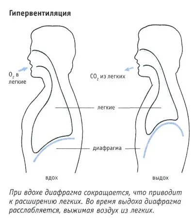 Dmaa (дмаа), напівлегальний психостимулятор, clevermindru (дозування дмаа) Dmaa (дмаа), напівлегальний психостимулятор, clevermindru