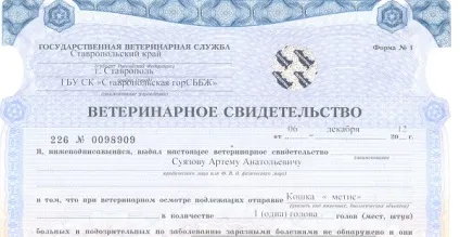 Документи для перевезення тварин (тварин) Документи для перевезення тварин
