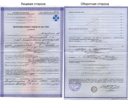 Документи для перевезення тварин (документи) Документи для перевезення тварин