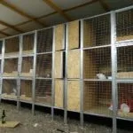 Двох'ярусне клітина для кроликів своїми руками інструкція, креслення і фото (кроликів) Двох'ярусне клітина для кроликів своїми руками інструкція, креслення і фото